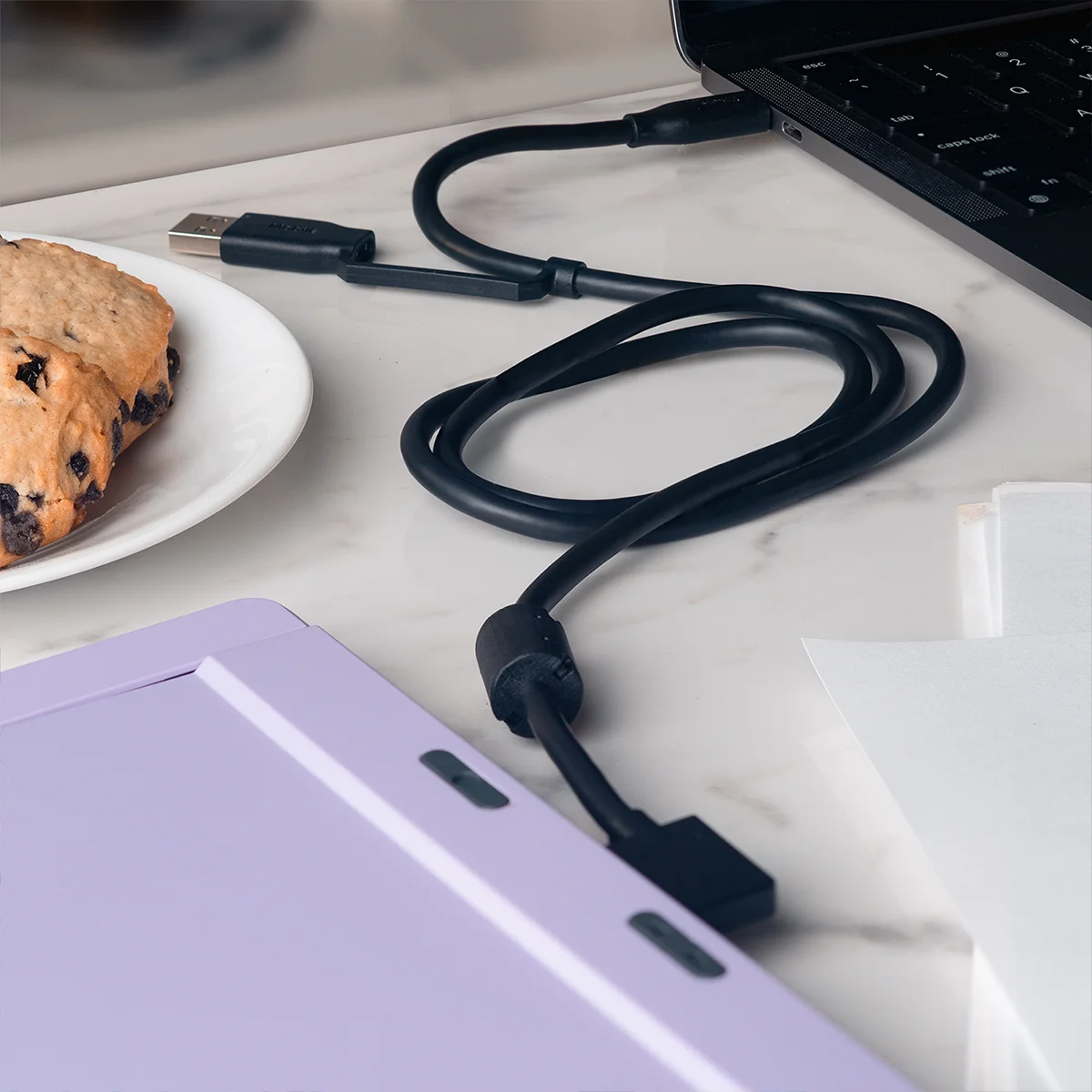 2-in-1 Data Cable