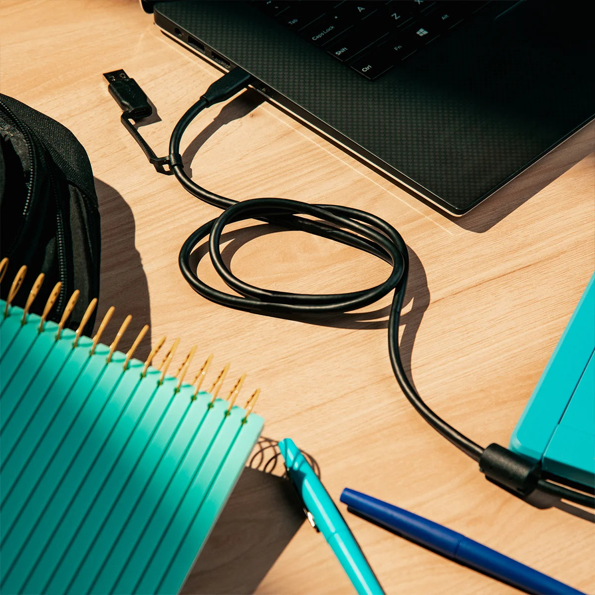 2-in-1 Data Cable